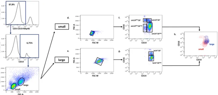 Figure 1.  Gating strategy and identification of monocyte subpopulations. PBMC were separated and stained  with antibodies directed at various cell surface molecules (Supplementary Table S2)