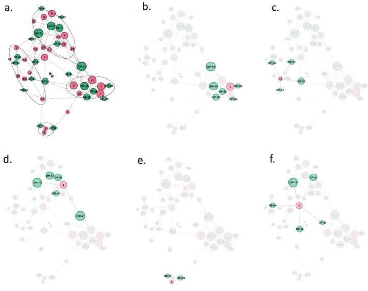 Figure 4.  Connectivity map between donors and defined phenotypic profiles. To determine which phenotypic  profiles identified in subpopulations of monocytes were more likely to be associated in a given donor, a network  analysis was performed using Gephi 