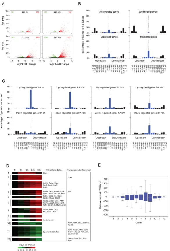 Figure 6. Gene expression profiles during RA-induced PrE differentiation of mouse F9 EC cells