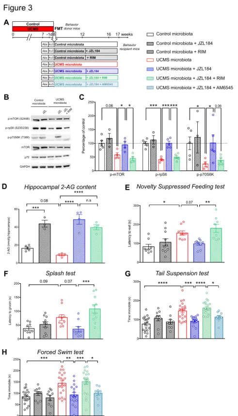 Figure 3 Restoration of the eCB pathway normalizes behavior in recipient mice. 