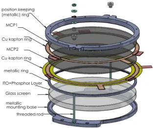 Figure 3: schematic view of the detector assembly with two MCP and a phosphor screen. The detector is assembled separately and fitted inside the UHV flange in Fig.2
