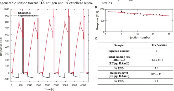 Figure 2  Biosensor  reproducibility,  stability  and  regeneration.  A:  Biosensor  raw  data  obtained  following  5  consecutive  injections of  TIV  vaccine  antigen  (10  µg  HA/mL)  with  consecutive  regeneration