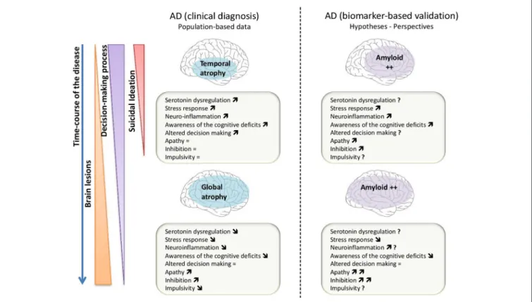 FIGURE 2 | Scheme of the different mechanisms that could be involved to explain the relationship between suicidal ideation, decision-making process in Alzheimer’s disease (AD) based on clinical diagnosis (part left of the figure) and in AD based on biomark
