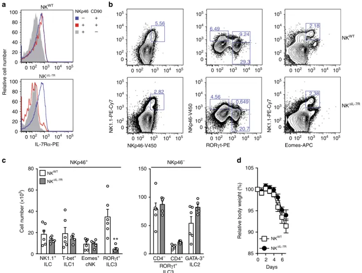 Fig. 7 IL-7R-dependent ILC3 do not affect acute colitis. a – c Small intestinal lamina propria leukocytes were isolated from NK WT and NK ΔIL-7R mice