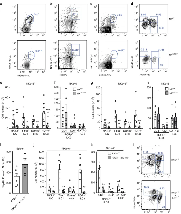 Fig. 3 NK Δc-FLIP mice lack IL-7- and IL-15-dependent NKp46 + ILC in the small intestine