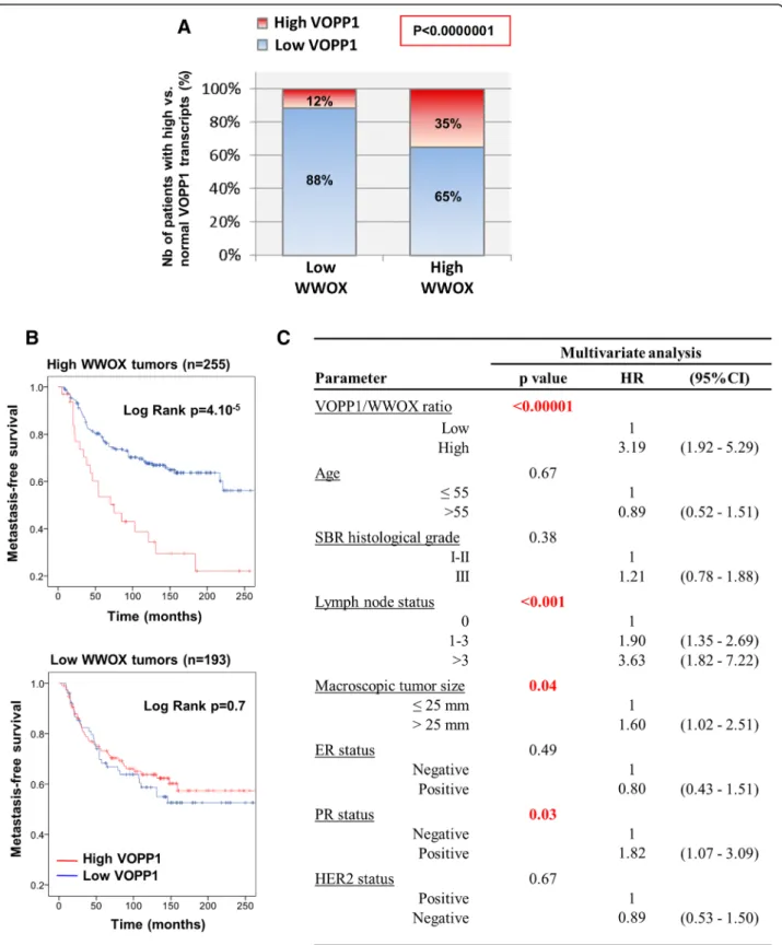 Fig. 7 Concomitant expression of WWOX and VOPP1 in human breast tumors. a The 448 breast cancer patients were classified into two groups (low WWOX (&lt; 0.6), n = 193; and high WWOX ( ≥ 0.6), n = 255), and the proportion of tumors expressing high ( ≥ 2.5) 