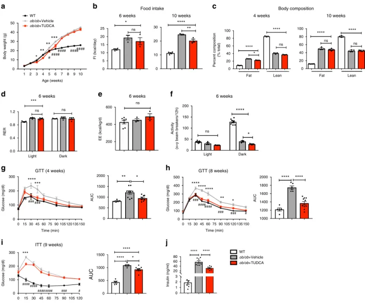 Fig. 2 Neonatal TUDCA treatment causes long-term bene ﬁ cial metabolic effects in ob/ob mice