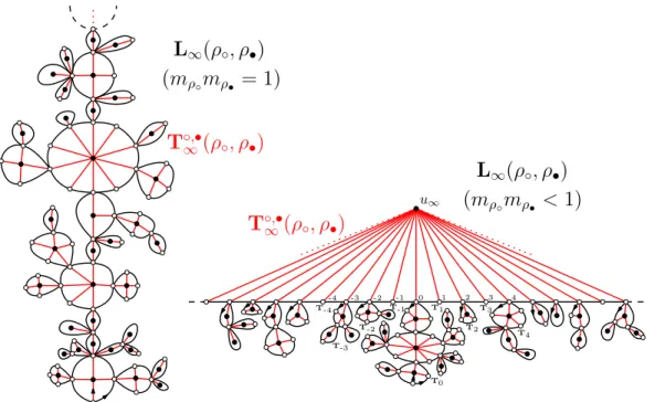 Figure 7: The infinite planar map L ∞ and the associated tree T ◦,• ∞ .