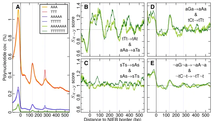 Figure S7). S X →Y values in NIEBs and linker regions are larger that these maximal values underlining the high  sig-nificance (P  10 −4 ) of the positive selection acting on these regions