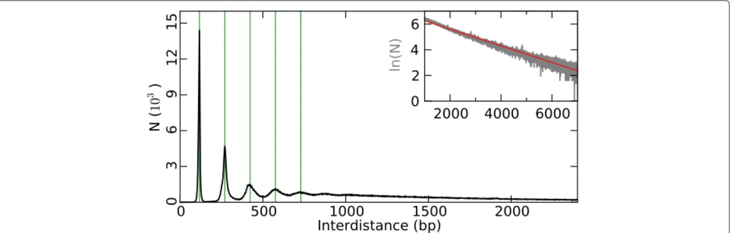 Fig. 2 Histogram of (1,581,005) border to border inter-distances between successive NIEBs