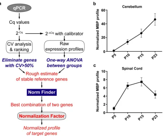 Fig 5. Integrated approach to determine the best reference genes in a longitudinal study