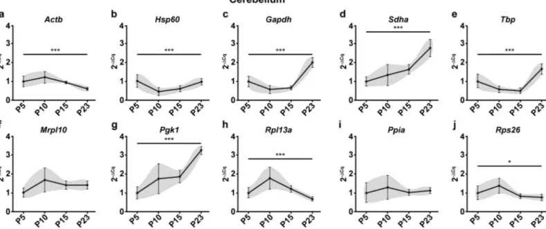 Fig 2. Raw expression profiles of reference genes expressed as fold changes across experimental groups (2 -ΔCq ) at P5, 10, 15 and 23 in the cerebellum