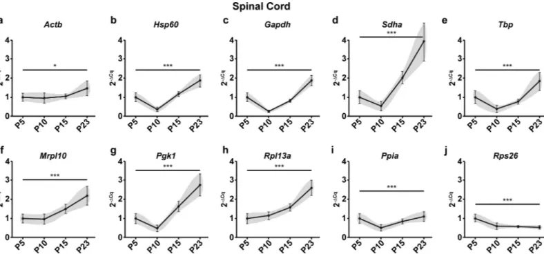 Fig 3. Raw expression profiles of reference genes expressed as fold changes across experimental groups (2 -ΔCq ) at P5, 10, 15 and 23 in the spinal cord