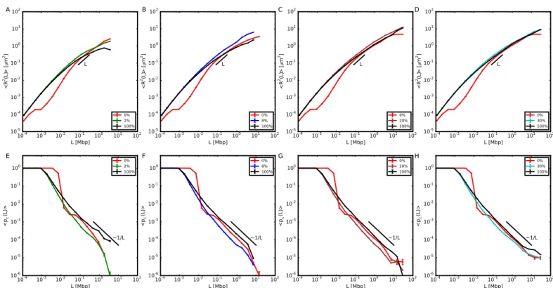 Fig 4. Structural properties relative to the 10nm portion of model chromosomes composed of two separate domains of 10nm fiber and 30nm fiber, with the 10nm domain positioned farther from the chromosome center of mass