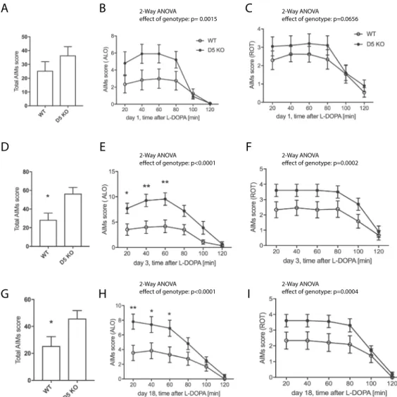 Figure 3.  LID assessment of D5 KO mice. Mice were treated with L-DOPA/Benserazide (L-DOPA 3 mg/kg,  Benserazide 10 mg/kg, i.p.) daily and AIMs determined starting at 20 min post injection