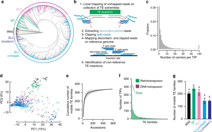 Fig. 1 The tomato mobilome. a Phylogeny of the 602 tomato accessions analyzed, including wild tomato relatives (Wild), wild tomatoes (S