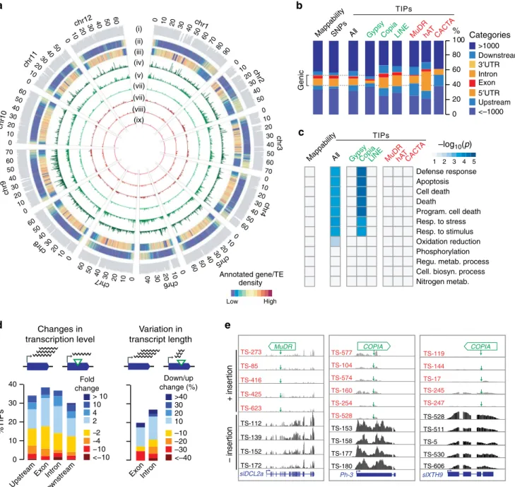 Fig. 3b), demonstrating the interest of considering TIPs in addition to SNPs in GWAS. For instance, our TIP-GWAS revealed a strong association between a RIDER insertion within the gene PSY1, which encodes a fruit-speciﬁc phytoene synthase, and yellow fruit