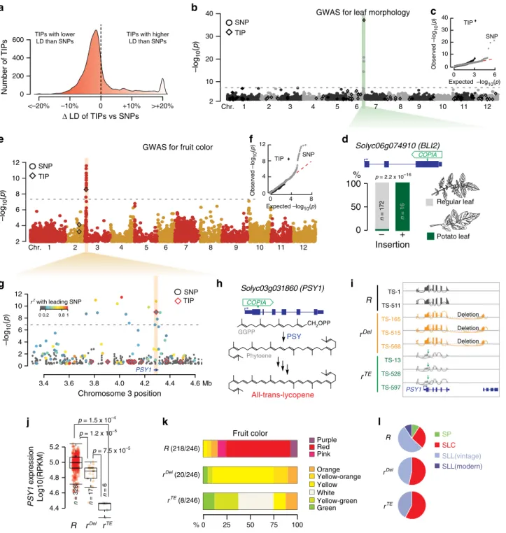 Fig. 3 TIPs as an unregistered source of phenotypic variants. a Distribution of the proportion of SNPs that are in lower or higher linkage disequilibrium (LD) with TIPs or other SNPs