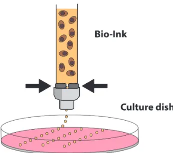 Fig 4. Inkjet bioprinting. Nutrients (culture medium) appear in  pink, hydrogel in orange, and cells in brown.