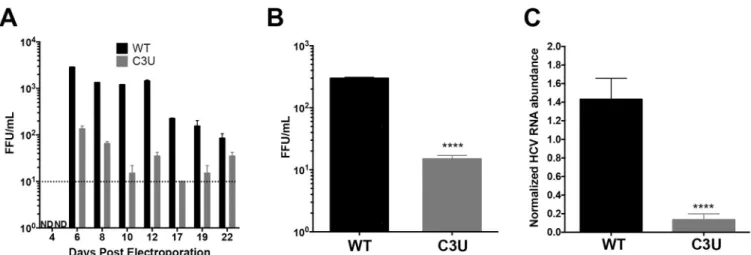 Fig 2. Effects of the C3U single nucleotide substitution on HCV genotype 1a virus production