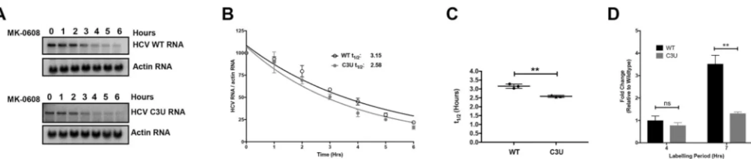 Fig 4. Viral RNA stability and rates of replication in wild-type and C3U variants in the presence of miR-122