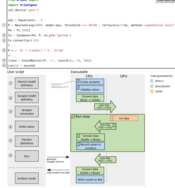 Figure 5.  Running simulations with Brian2GeNN. Top: Excerpt from an example Brian script that will execute  in a hybrid Brian/GeNN simulation due to the import of the brian2genn library (line 2) and the selection of  the “GeNN device” (line 3)