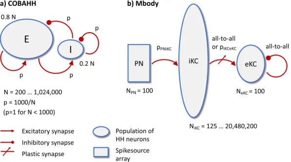 Figure 6.  Diagrams of the two benchmark models, COBAHH (a) and Mbody (b). The COBAHH model is  fully recurrent, whereas the Mbody model is essentially feedforward with exception of some all-to-all inhibition  among the 100 eKCs.