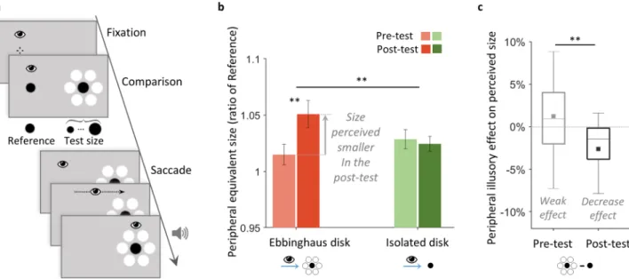 Figure 2.  Experiment 2, main group, with peripheral-foveal contingencies. (a) Trial procedure
