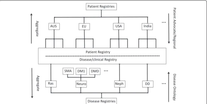 Figure 1 Registry aggregation. A schematic of how disease/patient registries might be aggregated.