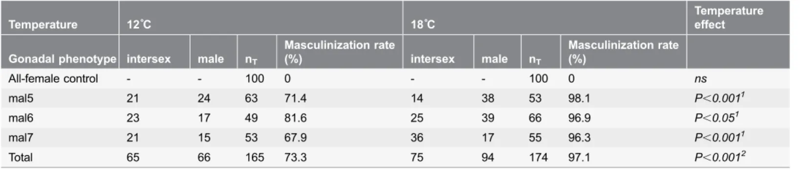 Table 3. Effect of temperature treatment on the masculinization rate in Experiment B.