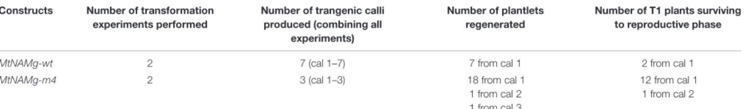Figure 4Q). The carpel margins remained unfused in many ﬂowers (Table 2; Figures 4I,M), revealing the ovules within these, though a small proportion of ﬂowers did show completely fused carpel margins (Table 2; Figure 4Q).