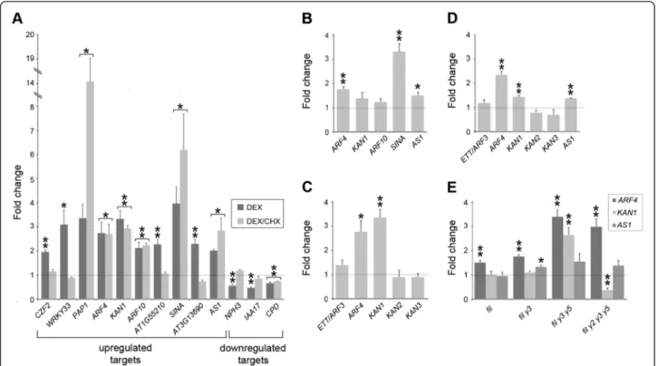 Figure 4 FIL-response genes that are immediate targets of FIL. (A) Fold change in expression of FIL-response genes in ten-day-old 35S pro ::FIL: