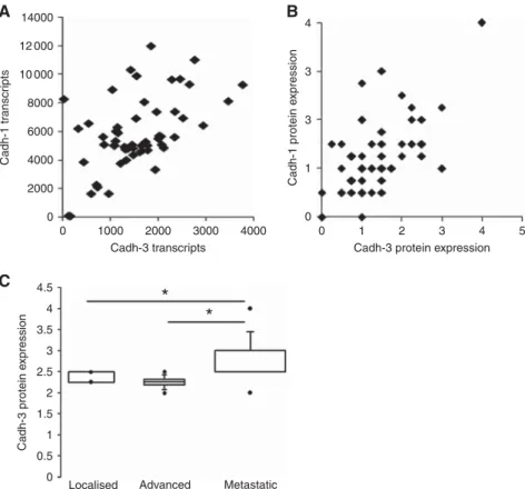 Figure 2. Cadherin-1 and -3 expressions in PDAC samples from xenografted tumours. (A) Both cadherins were quantified at the transcriptional level by using gene expression microarrays from xenografted tumours from 55 patients