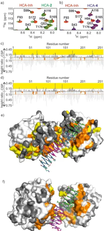 Figure 3. NMR chemical shift variations of [ 15 N]HCA (200 m M ) in complex  with Inh, 2 or 4 (1.3 equiv) in Tris buffer (10 m M , pH 8.0)