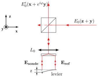 Figure 2.1 – Le faisceau, avec polarisation dans la direction x + y, apr`es reflexion sur un cube s´eparateur entre dans la r´egion de mesure