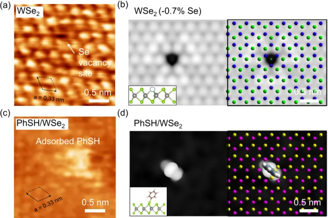 Figure 1. (a) Experimental scanning tunneling microscopic (STM) height image of the freshly  exfoliated WSe 2  surface, showing the Se vacancy site