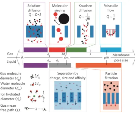 Figure  6.  Length  scale  dependence  of  membrane  transport  mechanisms  (Q  =  flux,  D  =  diffusivity,  S  =  sorption  coefficient,  m  =  molecular  mass,  µ  =  viscosity)