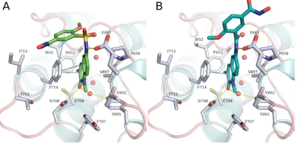 Figure 7: A. Predicted binding mode of 23a (green sticks) in BRPF1. B. Predicted binding mode of  17a  (cyan  sticks)  in  BRPF1