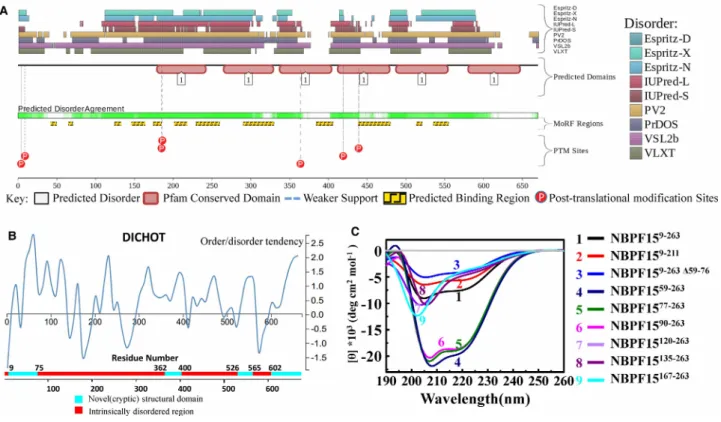 Figure 5. The N-terminal of NBPF was a mosaic of different (dis) ordered segments.