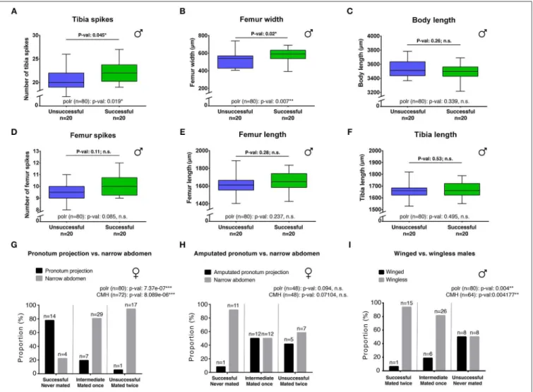 FIGURE 3 | Morphological comparisons and effect on mating performance. Successful males have significantly higher number of tibia spikes (A) and larger femur (B) compared to unsuccessful males