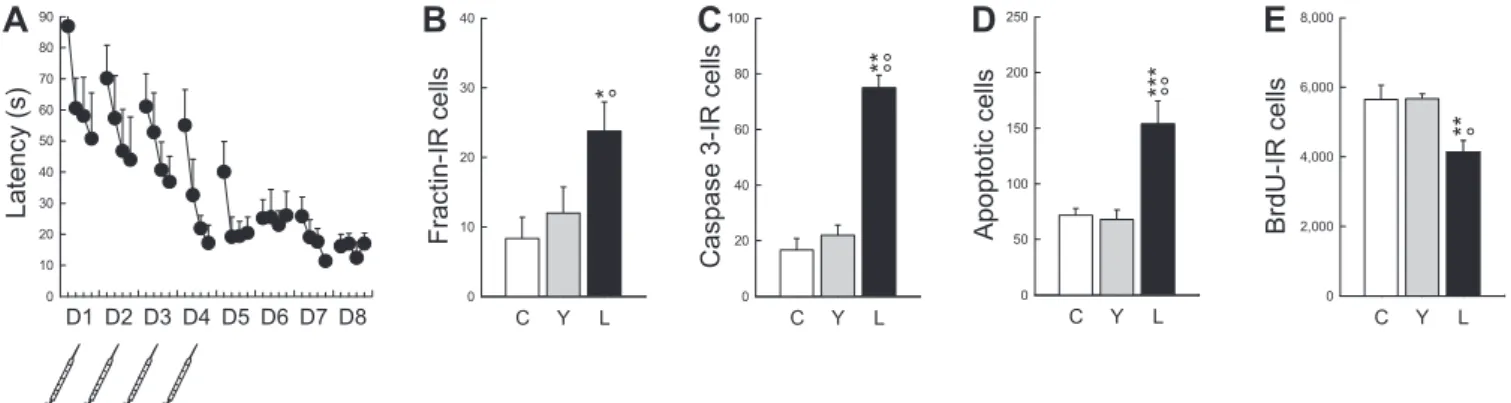 Figure 1. Spatial Learning in a Water Maze Increases Cell Death and Decreases Cell Genesis in the Dentate Gyrus (A) Latency to find the escape platform