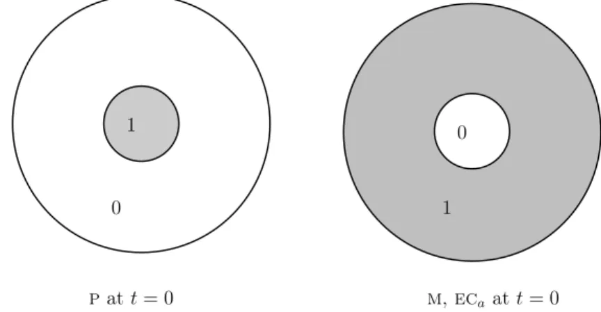 Figure 3. Radial representation of initial data p , m and ec a for the various simulations.