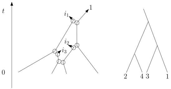 Figure 1: The trajectory of a backward cluster BC(1) at time t (of cardinality 3) is represented on the left