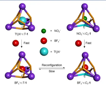 Figure 5. Schematic representation of two successive processes: fast guest displacement of Tf 2 N − or NO 3 − by BF 4 − , giving rise to a shape memory phenomenon, followed by slow isomeric reconﬁguration.