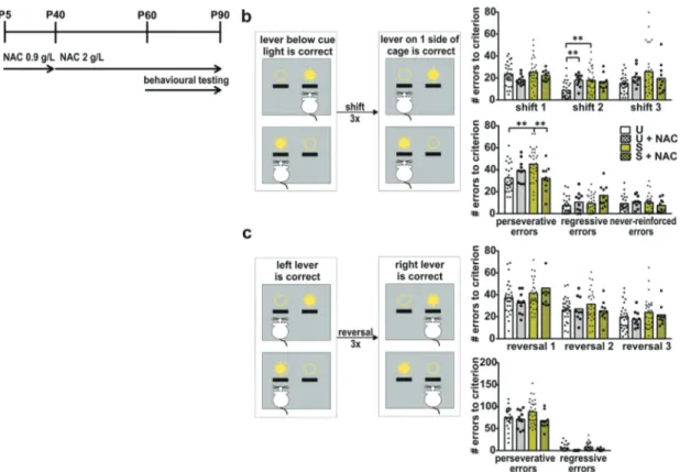 Fig. 5 NAC treatment improves cognitive in ﬂ exibility in APO-SUS rats during extra-dimensional set-shifting and reversal learning