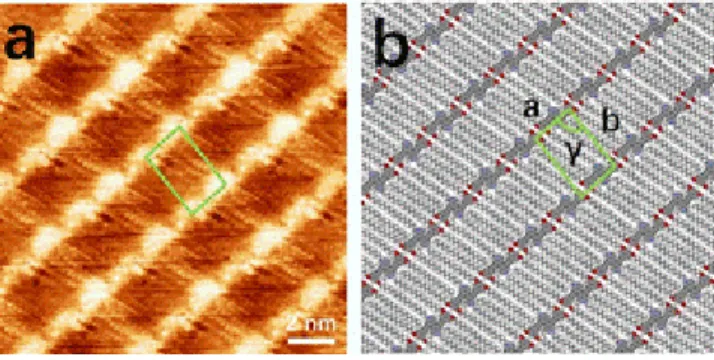 Figure  4. High-resolution  STM  height  images  of  compound  24 self-assembled structure recorded at the solution-graphite  interface (a) and respective proposed packing motif (b)