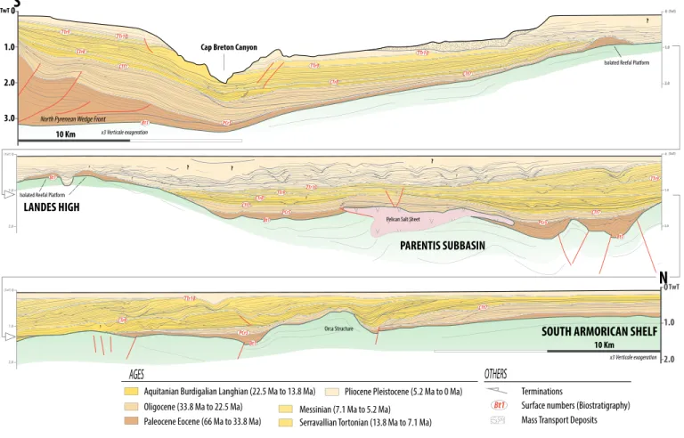 Fig. 8. Space-time stratigraphic (Wheeler) diagram of the Aquitaine Basin along a W-E-S transect from the near offshore to the Lannemezan Plateau.