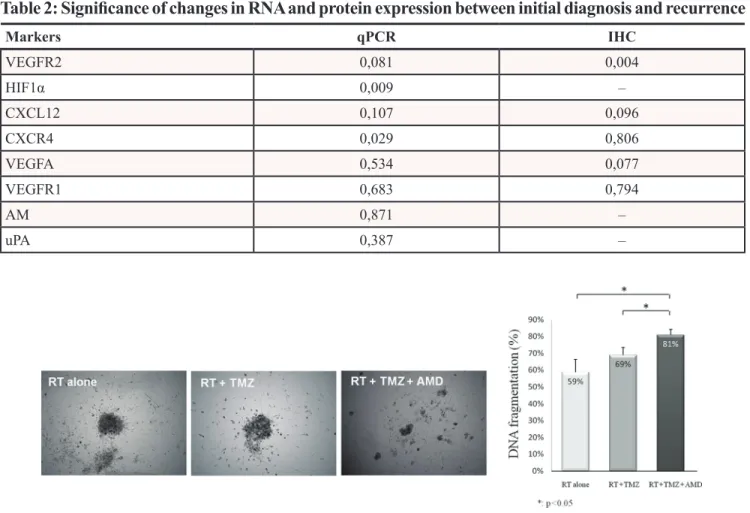 Table 2: Significance of changes in RNA and protein expression between initial diagnosis and recurrence