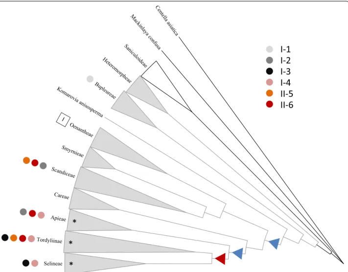 Fig. 5 Cladogram showing the occurrence of the CYP71AJ groups across Apiaceae (tribe names are based on Downie [6, 7])