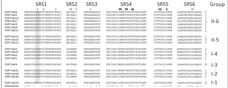 Fig. 2 SRS alignment of 19 cytochrome P450 belonging to the CYP71AJ subfamily. SRS means Substrate Recognition Site